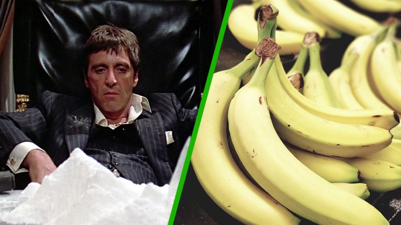 Supermarket staff find NZ$131M worth of cocaine in banana boxes 