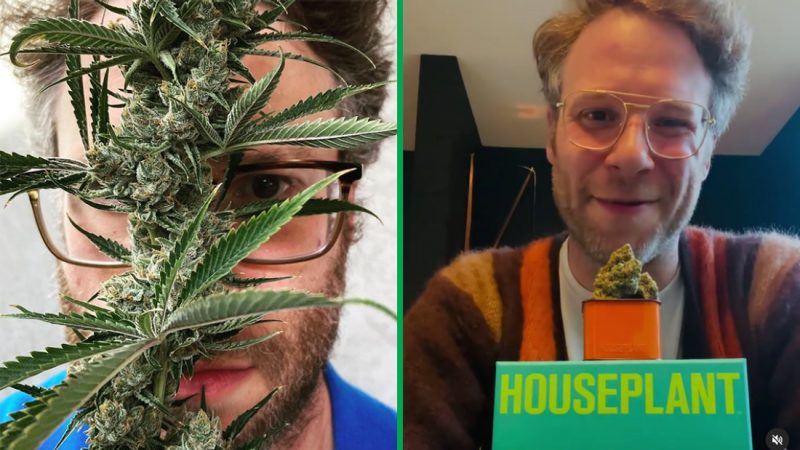 Seth Rogen has started his own weed company