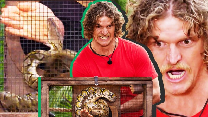 ‘That was awesome': Nick 'The Honey Badger' Cummins gets bitten by a snake and loves it
