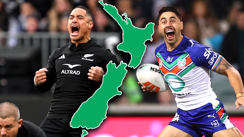 All Blacks v Warriors: Google NZ reveals the sports team we searched for the most in 2023
