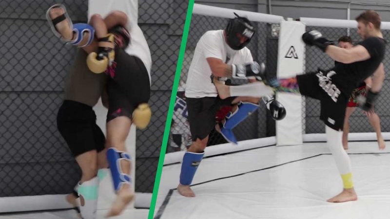 WATCH: Tammy takes on Kai Kara-France and Dan Hooker... and they didn't hold back